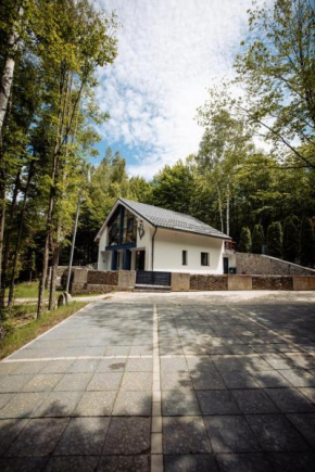 Vila Blanc Valiug Crivaia